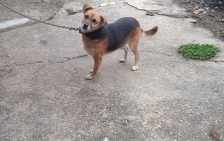 WhatsApp Bild 2025-10-30 um 12.57.45_63052279