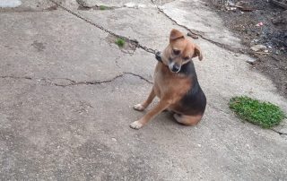 WhatsApp Bild 2025-10-30 um 12.57.45_d4983e8f