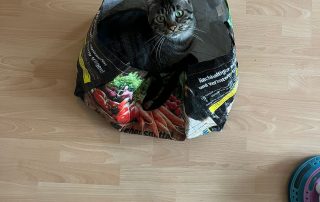 066f2f82-f908-472a-9bc7-e834353438d1