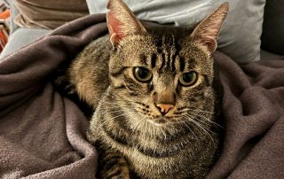 280e6c40-7ba1-405b-bf42-9346f79b5fc5