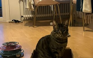 4716eaaf-5aa7-45a1-928c-bb372337b74f