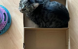 591e2261-91ee-414f-be51-88fefae78ac8