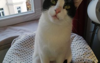 865a5f18-fc0d-4ee6-94c6-e7eb566eeda5