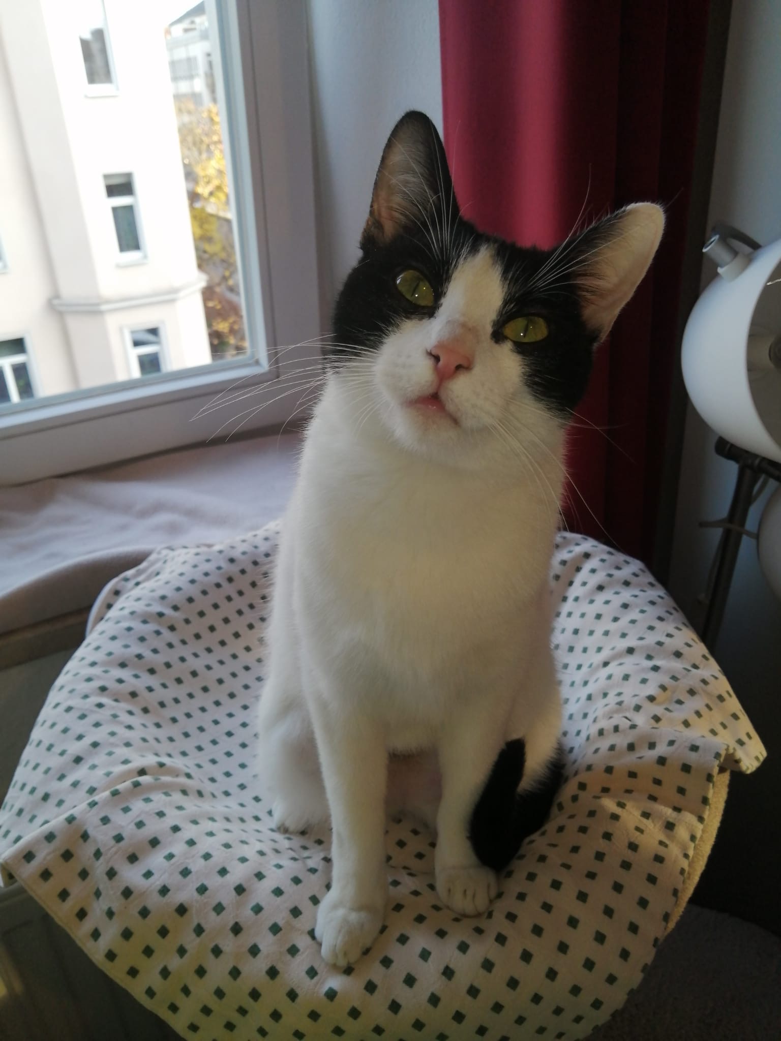 865a5f18-fc0d-4ee6-94c6-e7eb566eeda5