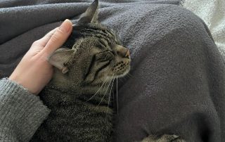 873b829f-cb03-4aa5-9509-f7cc874a822d