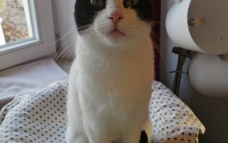 94ba6c09-ff13-4c94-912d-337a05c26934