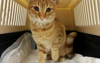 PHOTO-2025-10-20-19-50-20