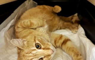 PHOTO-2025-10-20-19-50-21 2