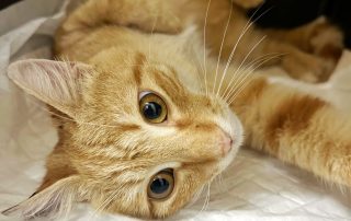 PHOTO-2025-10-20-19-50-21 3