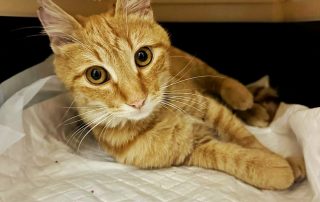 PHOTO-2025-10-20-19-50-21