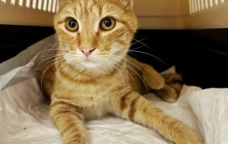 PHOTO-2025-10-20-19-50-22