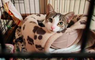 PHOTO-2025-11-02-17-41-35