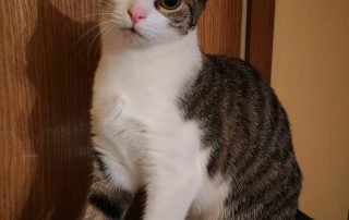 PHOTO-2025-11-02-17-46-57