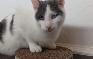 PHOTO-2025-11-15-10-52-39 4