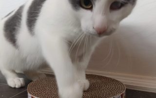 PHOTO-2025-11-15-10-52-39 5