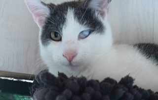 PHOTO-2025-11-15-10-52-40 10