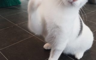 PHOTO-2025-11-15-10-52-40 6