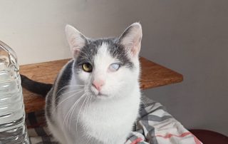 PHOTO-2025-11-15-10-52-40 7