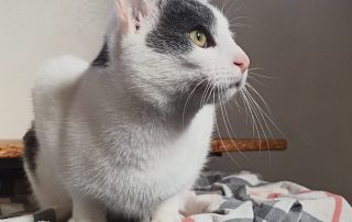 PHOTO-2025-11-15-10-52-40 8