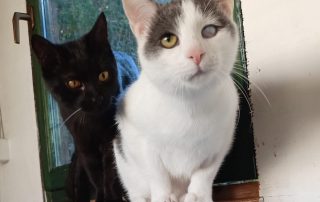 PHOTO-2025-11-15-10-52-40 9