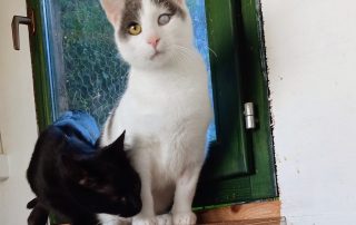 PHOTO-2025-11-15-10-52-41 2