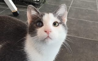 PHOTO-2025-11-15-11-00-21 10