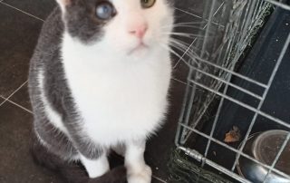 PHOTO-2025-11-15-11-00-21 6