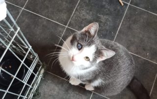 PHOTO-2025-11-15-11-00-21 7