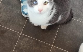 PHOTO-2025-11-15-11-00-21 8