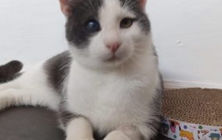 PHOTO-2025-11-15-11-00-21 9