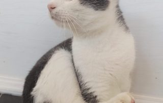 PHOTO-2025-11-15-11-00-22 3