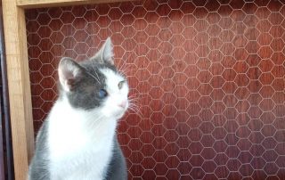 PHOTO-2025-11-15-11-00-22 4