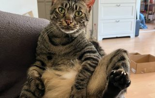 d218a985-d8ed-4584-9ee7-a2412a6c43cd