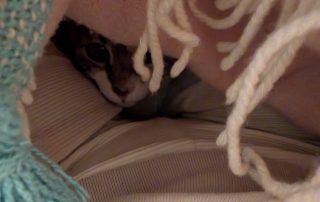 308790ae-caf5-4fbb-a3a1-faac16c14551