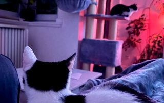 558d3b6f-c5b2-4ba5-ba28-12ff862c7c9f