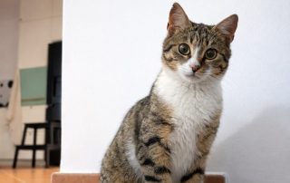 58809b83-9d27-4484-9b1a-ee8a59370985