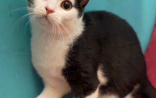 615774816_1307029008123905_2104962166867744549_n