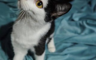 615823401_1307052594788213_1489457131511808335_n