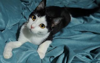 616830436_1307052168121589_3356158434188065099_n