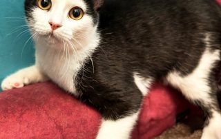 617573303_1307051271455012_4897697275985191063_n