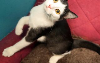 617878391_1307051528121653_2280311638938906071_n