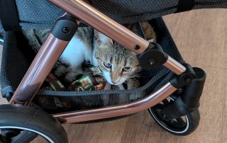 80179ddd-973c-44fa-9ea0-12a73f523611