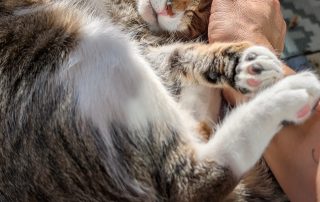 89e7cef9-0c91-4157-ab43-5efff1f58c2f