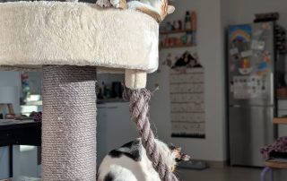 8e11aea3-7c01-42a1-8b95-21a20814b9ea