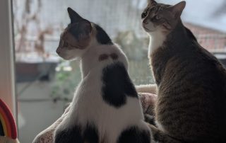 926cea28-8158-4541-a78d-f9889117fb77