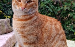 PHOTO-2026-01-02-14-54-51 2