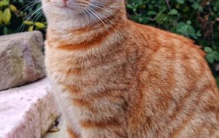 PHOTO-2026-01-02-14-54-51