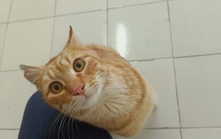 PHOTO-2026-01-18-12-45-40