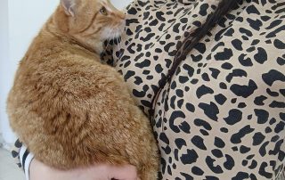 PHOTO-2026-01-18-12-46-50 2