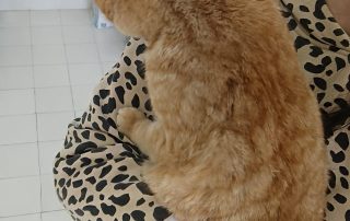 PHOTO-2026-01-18-12-46-50